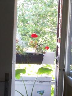 B&B Girasole - 8