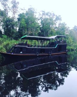 Orangutan Houseboat Park Tanjung Puting - Pangkalan Bun - 7