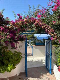 Casa Talento - Ponza - 0