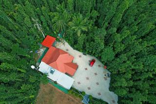 Hazel Retreat - Full Home & Coffee Estate - Chikmagalūr - 6