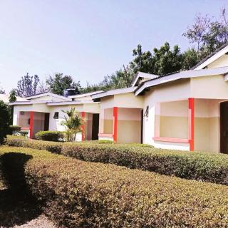 The Meserani Oasis Lodge - Arusha - 4