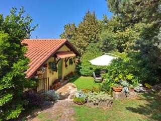 Quinta de Carcavelos Agroturismo e Enoturismo - Celorico de Basto - 8