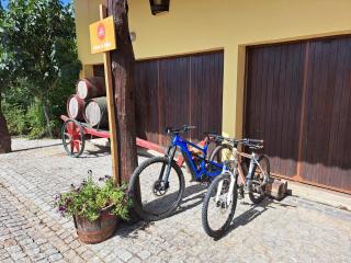 Quinta de Carcavelos Agroturismo e Enoturismo - 6
