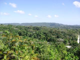 Tamarind Great House - Oracabessa - 4