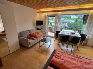 Haus am Sonnenberg, Todtnauberg, Ferienwohnung 204, direkt am Skilift-Skipiste, Nähe Feldberg - Todtnau - 8