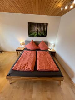 Haus am Sonnenberg, Todtnauberg, Ferienwohnung 204, direkt am Skilift-Skipiste, Nähe Feldberg - Todtnau - 7