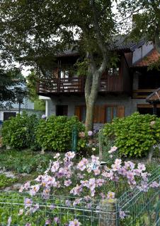 Albergo Diffuso Forgaria Monte Prat - Forgaria nel Friuli - 1