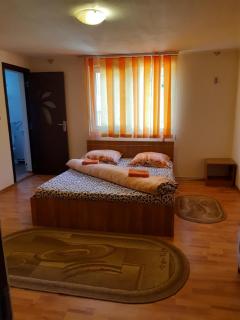 CASA IZA - Băile Herculane - 8