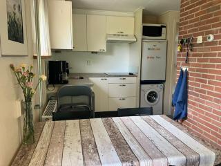Oasis holiday home in Giethoorn next to canal, boat extra - 1