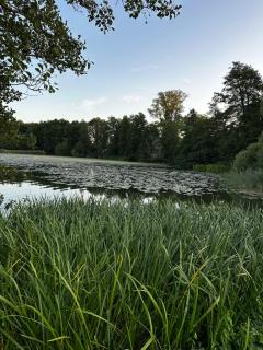 Apartament VIP CENTRUM - 9