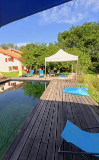 Chambres Maison Labourdasse - Saint-Martin-de-Hinx - 6
