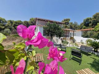 Elmy houses v3 / Clio - Rafina - 4
