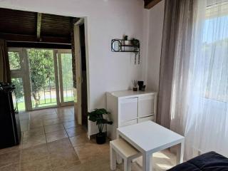 Elmy houses v3 / Clio - Rafina - 7