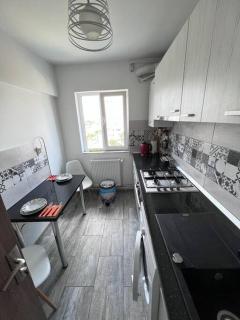 Central Riverside Business Center Apartments - Iaşi - 4