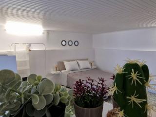 Elmy Houses v4 / Thalia - Rafina - 7