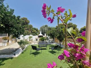 Elmy Houses v4 / Thalia - Rafina - 0