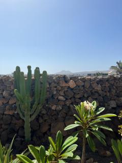 CASA los FUERTES - La Oliva - 3
