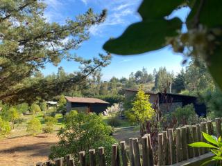 Cabañas Bosques de Puertecillo - Puertecillo - 6