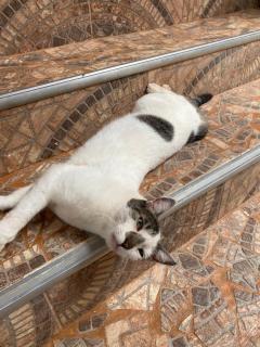 Casa Italia Guest House - 1