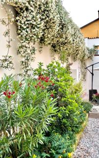 Pizzighettone Residenza La Corte - Pizzighettone - 8