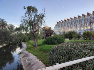Arts & Sciences Rooms - Valencia Authentic Urban Parklife - VLC Urban Rental - 8