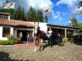 Hotel MAXIRUMA - Villa TAMAUKA - Iza - 5