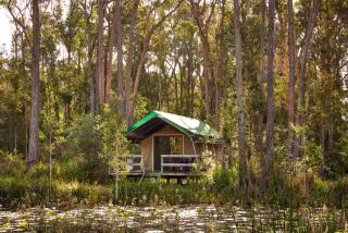 NRMA Darlington Beach Holiday Resort - Arrawarra - 9