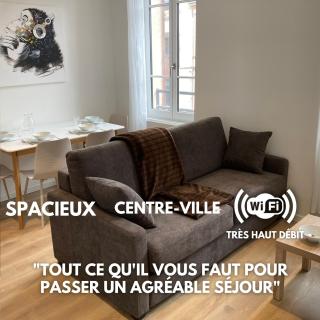 Premium Appart Albi - Albi - 7
