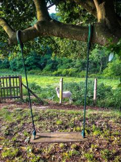 L'adret du bois - Sames - 2