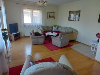Ferienwohnung Schwarzl - Münster - 1