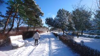 Ferienwohnung Jelena - Zinnowitz - 6