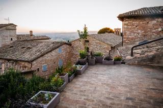 Roof Garden Rooms - Asís - 7