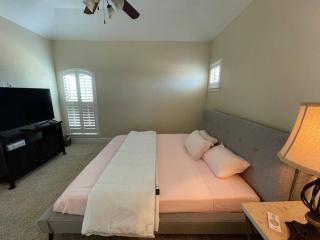 ADELINA mini-castle at Galleria with heated pool & spa - Houston - 1