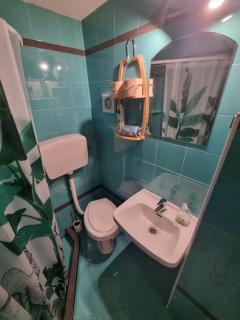 Atelier apartment - Krasica - 2
