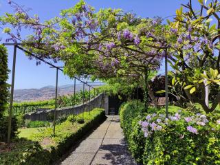 Quinta São Gonçalo - 9