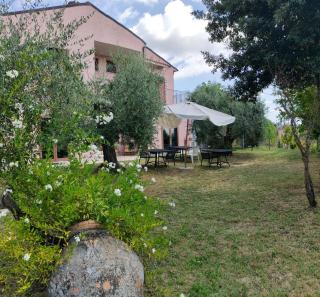 Tenuta Villa Torriti - Civitella dʼAgliano - 5