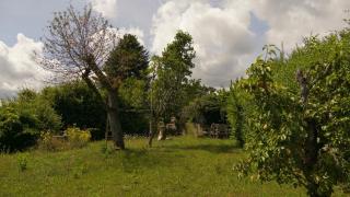 Petite maison au calme à Anost - Anost - 7
