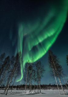 Ranua Haistila Retreat with Elegant Views & Sauna near Rovaniemi - 8