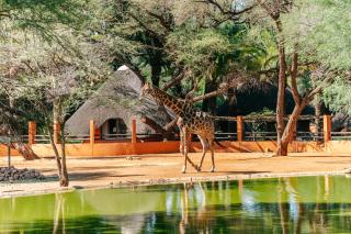 Omaruru Game Lodge - Omaruru - 6