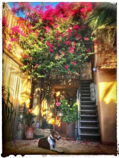 Tinyhouse im Patio einer romantischen Finca - Grima - 7