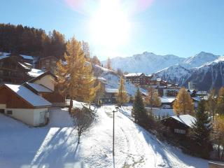 Paradiski ski au pied vallandry - Landry - 5