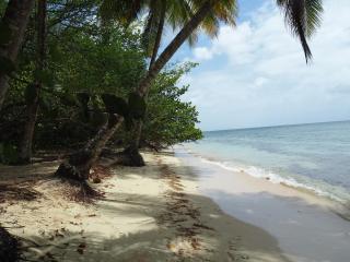 Kaz'détente, Marie Galante, plage Kawann - 1
