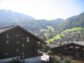 Appartement 2 ch, centre de La Clusaz, 8 pers, proche pistes et activités - FR-1-437-55 - La Clusaz - 9