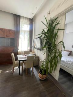 Apartment Romana - Sarajevo - 5