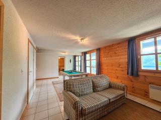 Chalet 12 pers, poêle scandinave, sauna, garage - FR-1-425-119 - 1