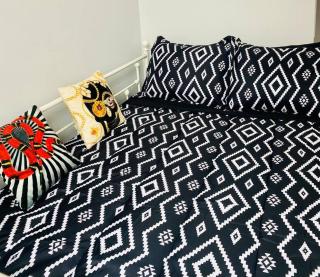 Lincoln Park 3 BR Penthouse - 4