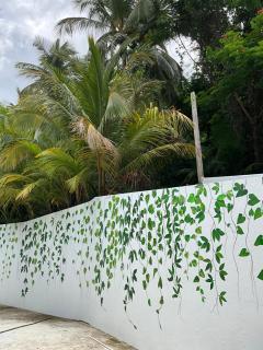 The Serene House Bed & Breakfast - Luquillo - 4