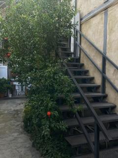 Natali - Tbilisi - 9