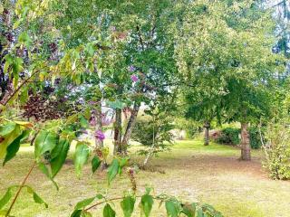Demeure St Martin - Vierzon - 9