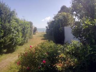 Accès océan sur grand terrain clos - 1